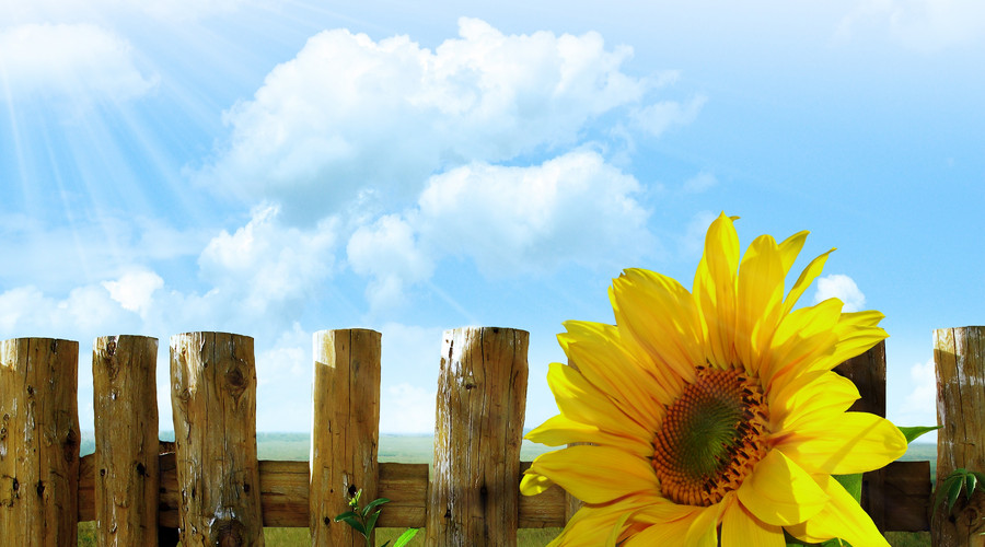 奧田電器：唯愛與陽(yáng)光不可辜負(fù)